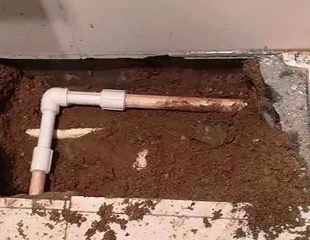 佛山测漏水哪家好