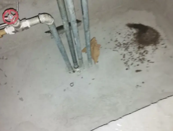 佛山卫生间测漏水价格明细